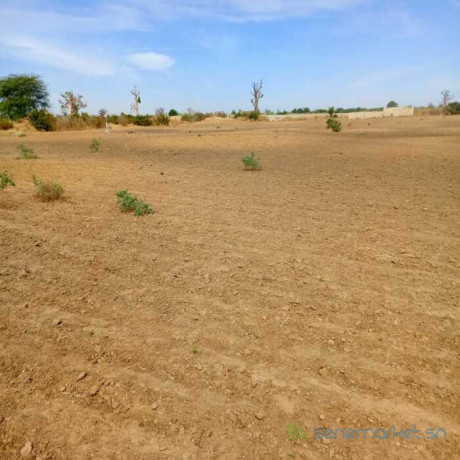 terrain-agricole-de-3-hectares-vers-nguekhokh-mbour-big-3