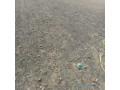 terrain-agricole-de-2-hectares-vers-nguekhokh-mbour-small-0