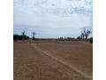 terrain-agricole-de-2-hectares-vers-nguekhokh-mbour-small-2