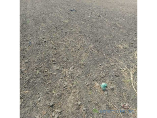 Terrain agricole de 2 Hectares vers Nguékhokh Mbour