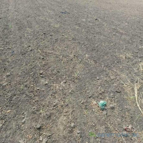terrain-agricole-de-2-hectares-vers-nguekhokh-mbour-big-0