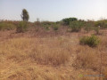terrain-agricole-de-5000-m2-vers-pout-thies-small-0