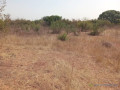 terrain-agricole-de-5000-m2-vers-pout-thies-small-3