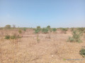terrain-agricole-de-130-hectare-vers-pout-thies-small-2