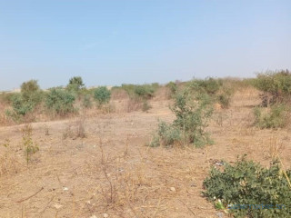 Terrain agricole de 1,30 Hectare vers Pout Thiès