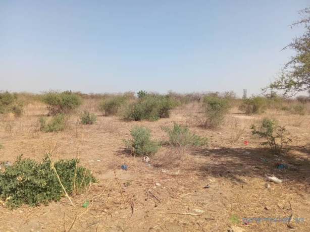 terrain-agricole-de-130-hectare-vers-pout-thies-big-3