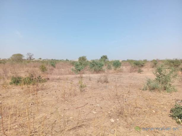 terrain-agricole-de-130-hectare-vers-pout-thies-big-2
