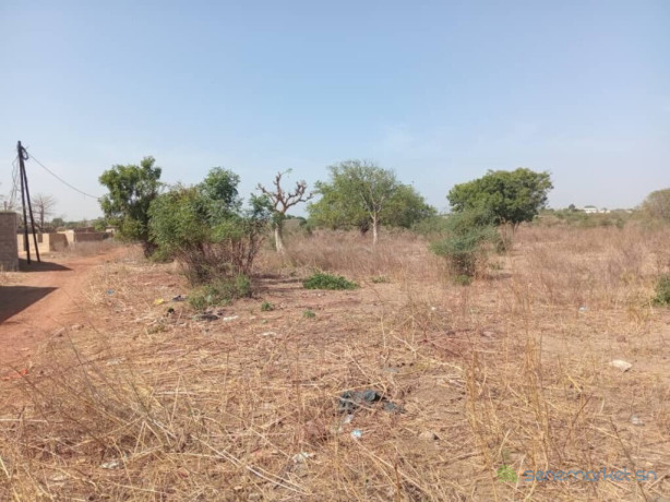 terrain-agricole-de-130-hectare-vers-pout-thies-big-1