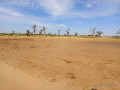 terrain-agricole-de-399-hectares-vers-nguekhokh-mbour-small-2