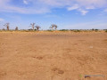terrain-agricole-de-399-hectares-vers-nguekhokh-mbour-small-3