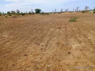 Terrain Agricole de 3,99 Hectares vers Nguékhokh Mbour