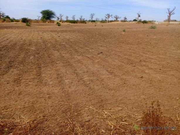 terrain-agricole-de-399-hectares-vers-nguekhokh-mbour-big-1