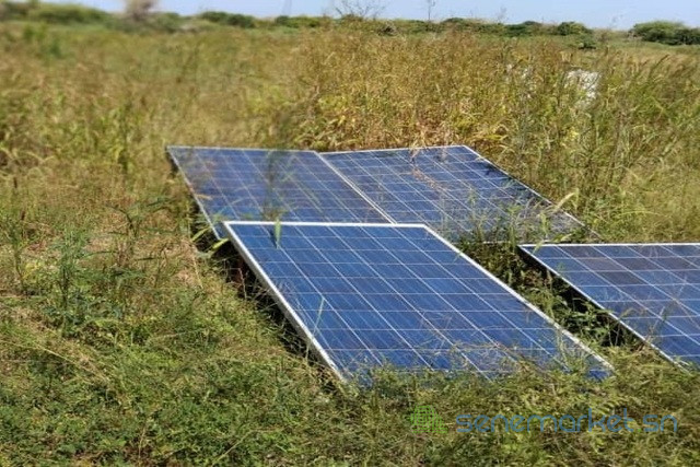 verger-de-226-hectares-vers-notto-gouy-diama-tivaouane-big-2