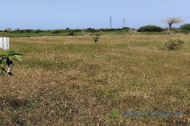 verger-de-226-hectares-vers-notto-gouy-diama-tivaouane-big-0
