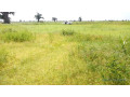 terrain-agricole-de-45-hectares-vers-ngueniene-mbour-small-2