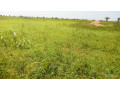 terrain-agricole-de-45-hectares-vers-ngueniene-mbour-small-1