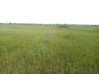 Terrain Agricole de 4,5 Hectares vers Nguéniène Mbour