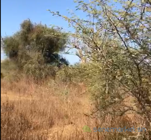 terrain-agricole-de-2-hectares-vers-sindia-mbour-big-1