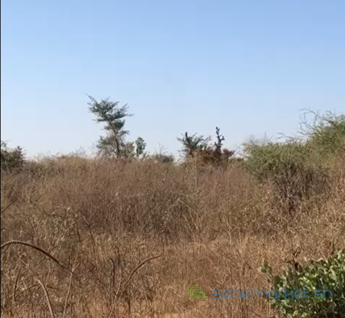 terrain-agricole-de-2-hectares-vers-sindia-mbour-big-2