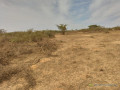 terrain-agricole-de-10-hectares-vers-darou-khoudoss-tivaouane-small-0