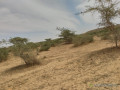 terrain-agricole-de-10-hectares-vers-darou-khoudoss-tivaouane-small-2