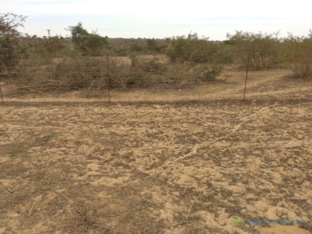 terrain-agricole-de-10-hectares-vers-darou-khoudoss-tivaouane-big-1