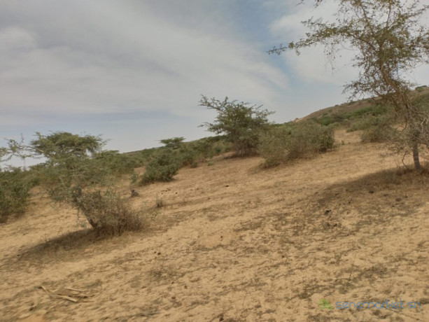 terrain-agricole-de-10-hectares-vers-darou-khoudoss-tivaouane-big-2
