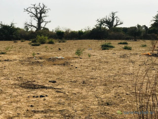 Terrain agricole de 3,02 hectares vers Sindia Mbour