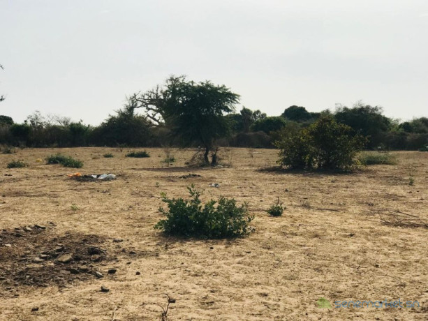 terrain-agricole-de-302-hectares-vers-sindia-mbour-big-1