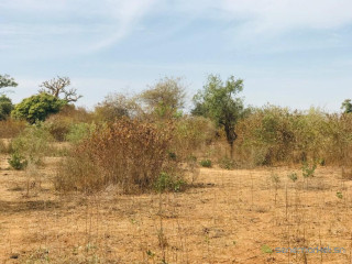 Terrain Agricole de 1,28 Hectare vers Sindia Mbour