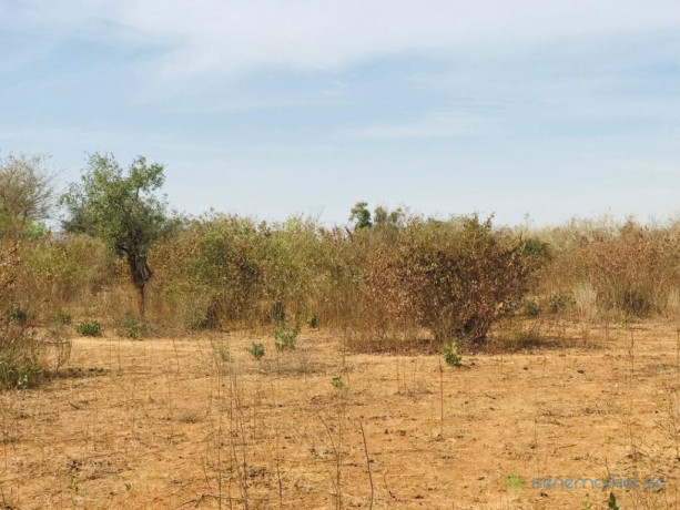 terrain-agricole-de-128-hectare-vers-sindia-mbour-big-1