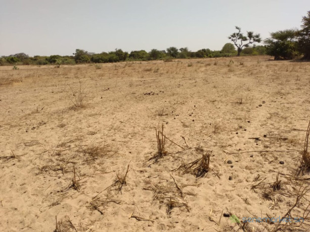 terrain-agricole-de-9-942-m2-vers-sandiara-mbour-big-2