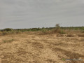 verger-de-8-092-m2-vers-taiba-ndiaye-tivaouane-small-0