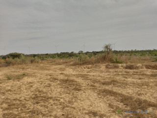 Verger de 8 092 m² vers Taiba Ndiaye Tivaouane