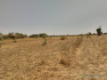 terrain-agricole-de-178-hectare-vers-sandiara-mbour-small-0