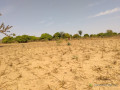 terrain-agricole-de-178-hectare-vers-sandiara-mbour-small-3