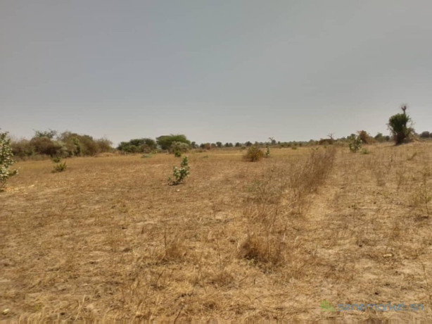 terrain-agricole-de-178-hectare-vers-sandiara-mbour-big-0