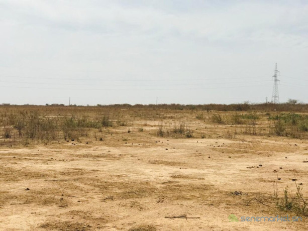 terrain-agricole-de-178-hectare-vers-sandiara-mbour-big-2