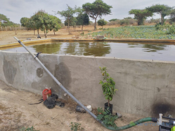 verger-de-128-hectare-vers-darou-khoudoss-tivaouane-big-1