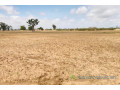 terrain-agricole-de-195-hectare-vers-sandiara-mbour-small-2