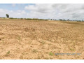 terrain-agricole-de-195-hectare-vers-sandiara-mbour-small-0
