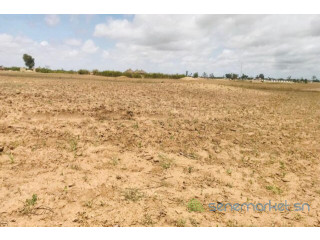 Terrain Agricole de 1,95 Hectare vers Sandiara Mbour