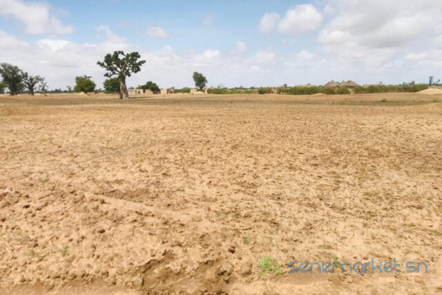terrain-agricole-de-195-hectare-vers-sandiara-mbour-big-2