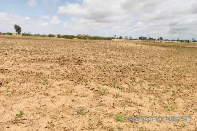 terrain-agricole-de-195-hectare-vers-sandiara-mbour-big-0
