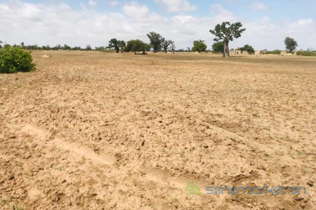 terrain-agricole-de-195-hectare-vers-sandiara-mbour-big-1