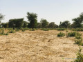 terrain-agricole-de-455-hectares-vers-thienaba-thies-small-3
