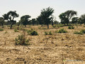 terrain-agricole-de-455-hectares-vers-thienaba-thies-small-0