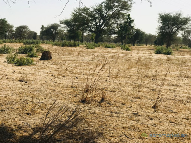 terrain-agricole-de-455-hectares-vers-thienaba-thies-big-2