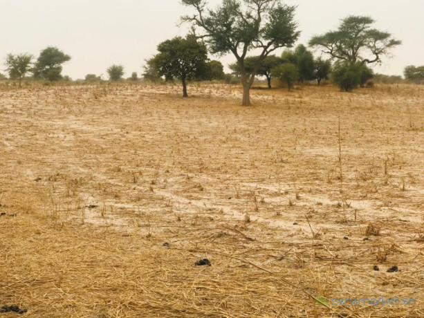 terrain-agricole-de-181-hectare-vers-keur-samba-kane-bambay-big-1