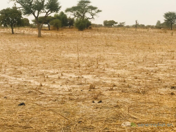 terrain-agricole-de-181-hectare-vers-keur-samba-kane-bambay-big-0